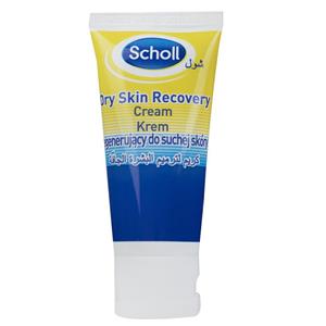 کرم ترمیم کننده پاشول مدل Dry Skin حجم 60 میلی لیتر Scholl Foot Recovery Cream 60ml 