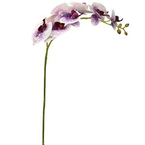 گل مصنوعی آکو طرح ارکیده مدل F70113 Ako F70113 Orchid Artificial Flower