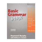 Basic Grammar in Use Third edition