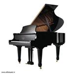 پیانو آکوستیک|ACOUSTIC PIANO Weber W-185