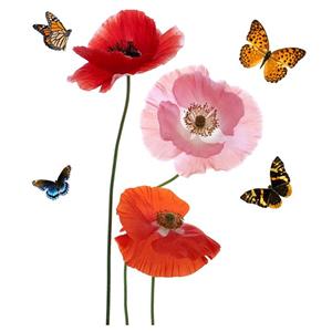 استیکر دیواری سه بعدی ژیوار مدل Red and Pink Anemones Zhivar 3D Wall Sticker 