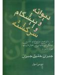 دیوانه و پیشگام و سرگشته