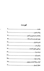 کتاب با مرزبان‌ نامه پشت چراغ قرمز اثر سیمین پناهی فرد 