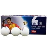 DHS 2 Star Ping Pong Ball Pack Of 10