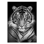 تابلو شاسی ونسونی طرح Black Tiger سایز 50 × 70 سانتی متر