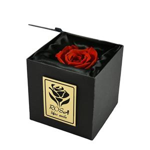 جعبه گل طبیعی رزا مدل رز قرمز یک شاخه Rosa Red Rose Flower Box One Branch 