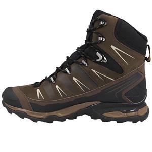کفش کوهنوردی مردانه سالومون مدل X Ultra Trek GTX Salomon X Ultra Trek GTX Climbing Shoes For Men