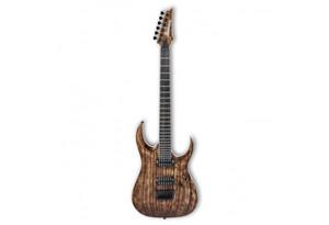 گیتار الکتریک Ibanez RGAIX6U ABS