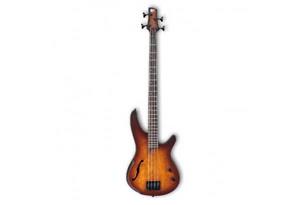 گیتار باس Ibanez SRH500 DEF