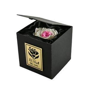 جعبه گل طبیعی ماندگار رزا مدل رز سفید صورتی یک شاخه Rosa White Pink Rose Flower Box One Branch 