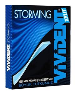 VIVIDENT آدامس با عطر و طعم نعناع 12 عددی