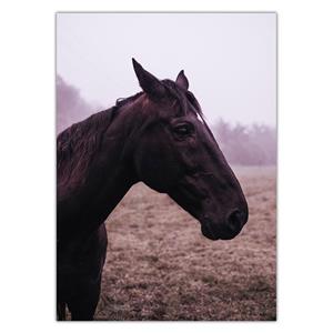 تابلو شاسی ونسونی طرح Nice Brown Horse سایز 50x70 سانتی متر Wensoni Nice Brown Horse Chassis Size 50 x 70 Cm