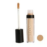 Florma Liquid Concealer 03