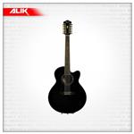 گیتار آکوستیک Ibanez AEL2012E TKS