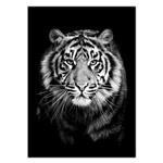 تابلو شاسی ونسونی طرح Stalwart Tiger سایز 50x70 سانتی متر