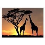 تابلو شاسی ونسونی طرح Sunset Beyond Giraffes سایز 50x70 سانتی متر