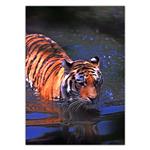 تابلو شاسی ونسونی طرح Swimming Tiger سایز 50x70 سانتی متر