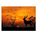 Wensoni Deer And Sunset Chassis 40 x 30