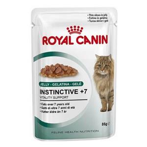 پوچ گربه رویال کنین royal canin در ژله-برای بهداشت دهان و دندان بالای 7 سال 