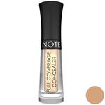 Note Full Coverage Liquid Concealer No 04