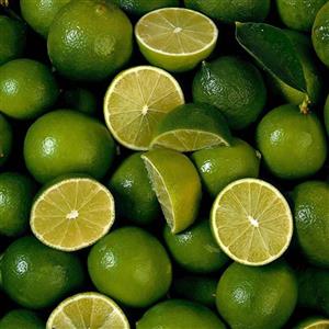 نهال لیمو عمانی