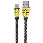 Lenyes LC-028i USB to Lightning Cable 100cm