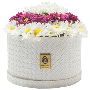 جعبه گل طبیعی کلبه مدل داوودی مینیاتوری بنفش و سفید Kolbeh Gol White Purple Chrysanthemum Flower Box 