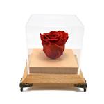 جعبه گل طبیعی ماندگار رزا مدل رز قرمز یک شاخه
