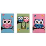 Zhivar Owl Family Kid Board