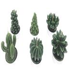 شمع ماهک مدل Cactus مجموعه 6 عددی