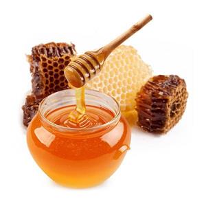 عسل طبیعی اکالیپتوس هانیس وزن 900 گرم 