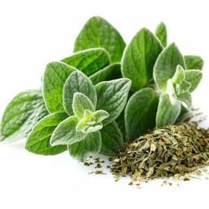 عرق پونه خانگی