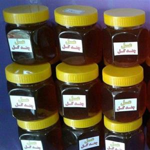 عسل طبیعی کردستان