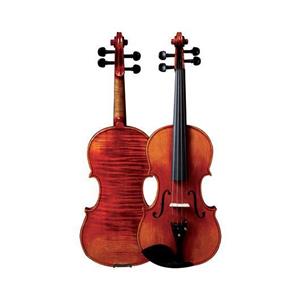 PHOENIX VT101 | ویولن PHOENIX Model VT101 Violin