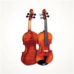 PHOENIX VT606 Size 4/4 violin