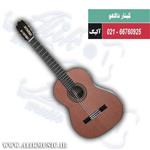 گیتار دالاهو