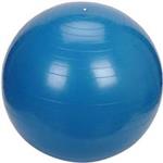 Gym Ball Size 65