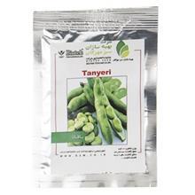 بذر باقالا بهینه سازان سبز مهرگان مدل Tanyeri Behineh Sazane sabze Mehregan Broad Bean Tanyeri Seeds