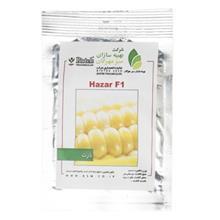 بذر ذرت بهینه سازان سبز مهرگان مدل Hazar F1 Behineh Sazane sabze Mehregan Corn Hazar F1 Seeds