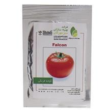 بذر گوجه فرنگی بهینه سازان سبز مهرگان مدل Falcon Behineh Sazane sabze Mehregan Tomato Falcon Seeds