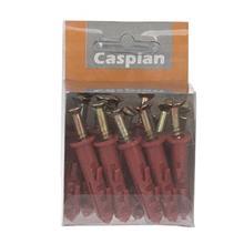 پیچ و رولپلاک 4 سانتی‌متری کاسپین بسته 20 عددی Caspian 4Cm Screw And Rawlplug 20PCS