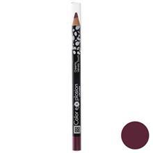  مداد لب دی ام جی ام سری Color Explosion مدل Wine Crush شماره 06 DMGM Color Explosion Wine Crush Lip Liner 06