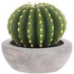 Harmony Cactus N10238 Candle