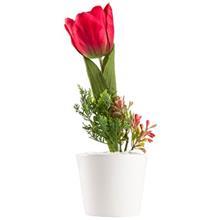 گل لاله دکوری راز گل مدل لاله درشت تک گل چراغ دار Raz Goal Single Flower Coarse Laleh Electric Flower