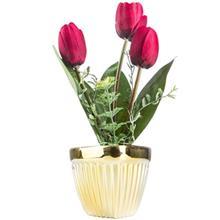گل لاله دکوری راز گل مدل گلدان طلایی سه گوش چراغ دار Raz Goal Golden Triangular Flower Box Laleh Electric Flower