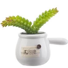 کاکتوس سوزنی بلند داخل لیوان تزئینی Long Needle Cactus in Mug Decorative