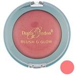 رژ گونه دایانا سری Blush And Glow  مدل Apricot Mist 04