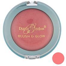 رژ گونه دایانا سری Blush And Glow  مدل Apricot Mist 04 Diana Blush And Glow Apricot Mist 04 Blush