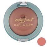 رژ گونه دایانا سری Blush And Glow  مدل Blushed Wine 08