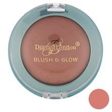 رژ گونه دایانا سری Blush And Glow  مدل Blushed Wine 08 Diana Blush And Glow Blushed Wine 08  Blush